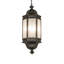 Lanterne suspendue d'extérieur 6 lumières Adisynne