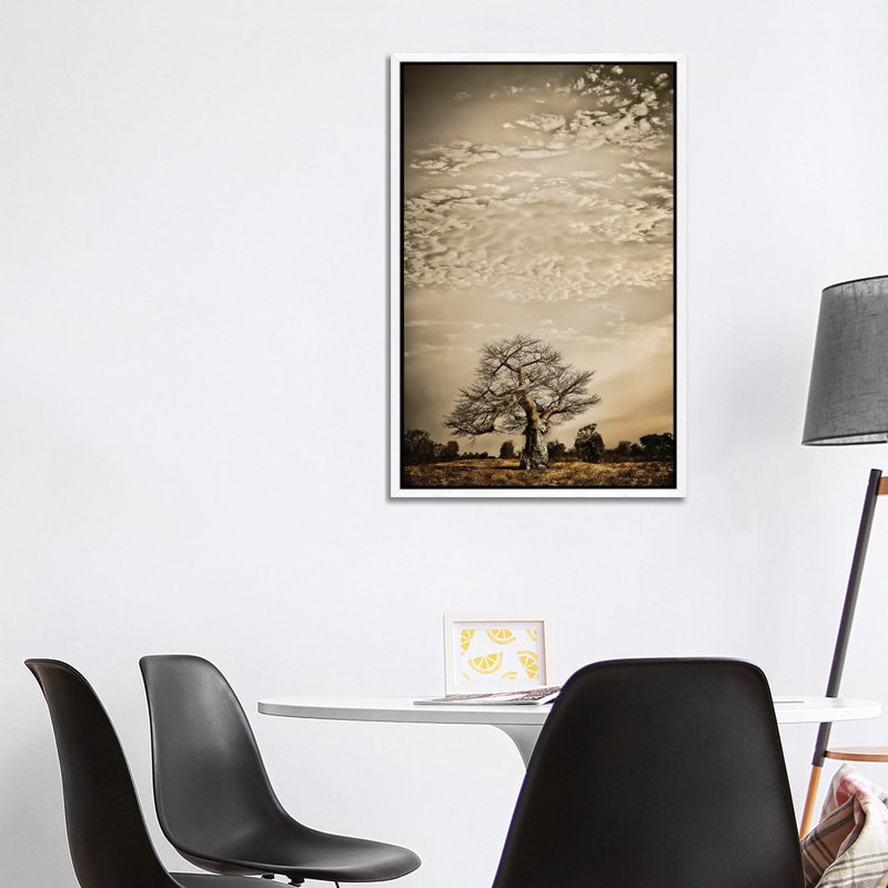 Baobab Hierarchy I by Klaus Tiedge - Print on Canvas, 101.6 cm H x 66.04 cm W, White Framed