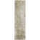 Machine Washable Indoor/Outdoor Claudian ACN1649 Taupe Rug