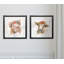 Cochon royal - ensemble de 2 reproductions encadrées sur papier-285038103