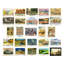 Audeliz 50 Piece No Frame Print