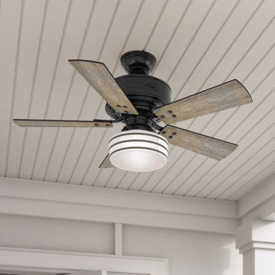 44" Cedar Key 5 - Blade Outdoor Standard Ceiling Fan with Remote Control and Light Kit Included