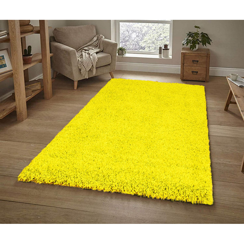 Alissya Shag 120cm X 160cm Area Rug