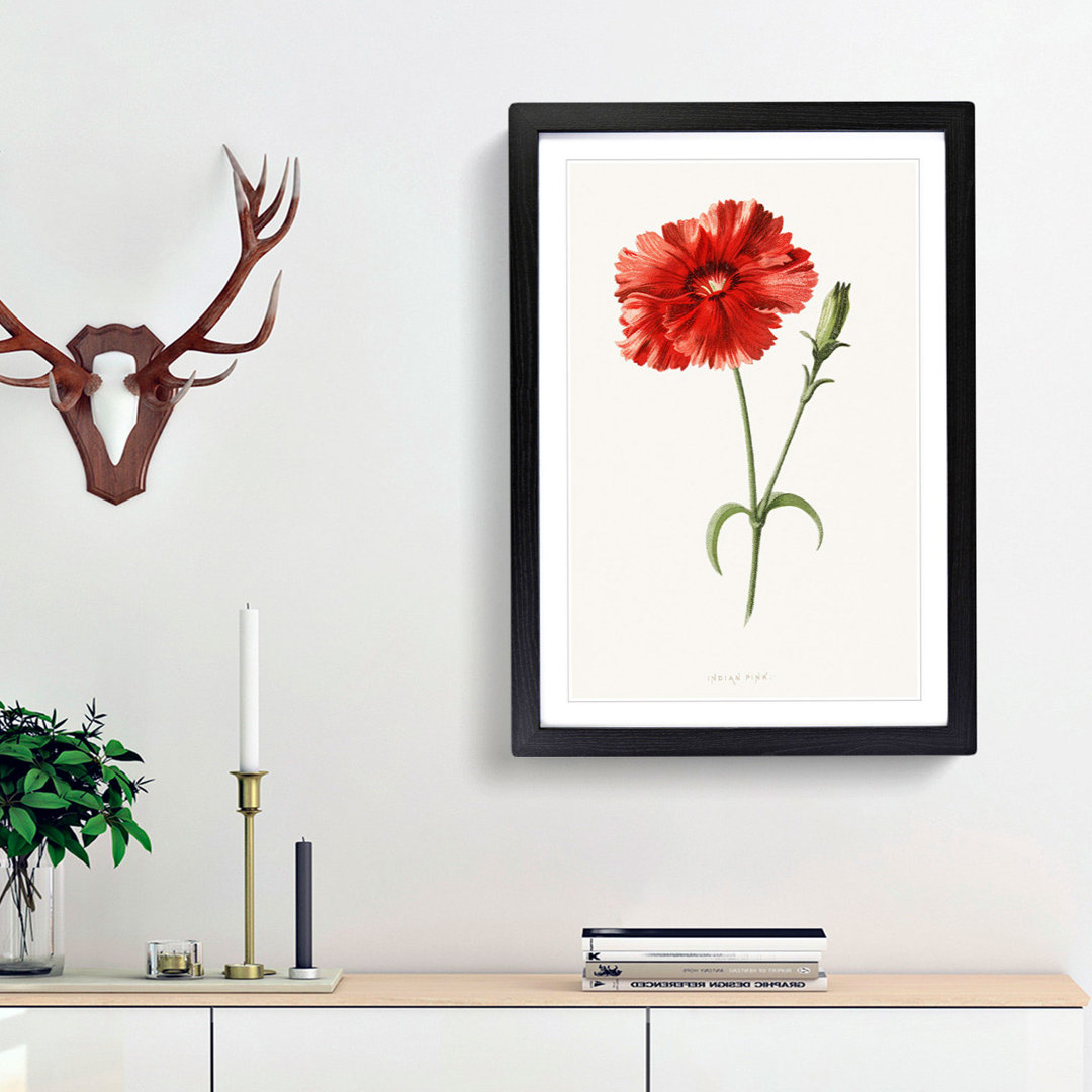Pink Flower by Frederick Edward Hulme - Framed Print