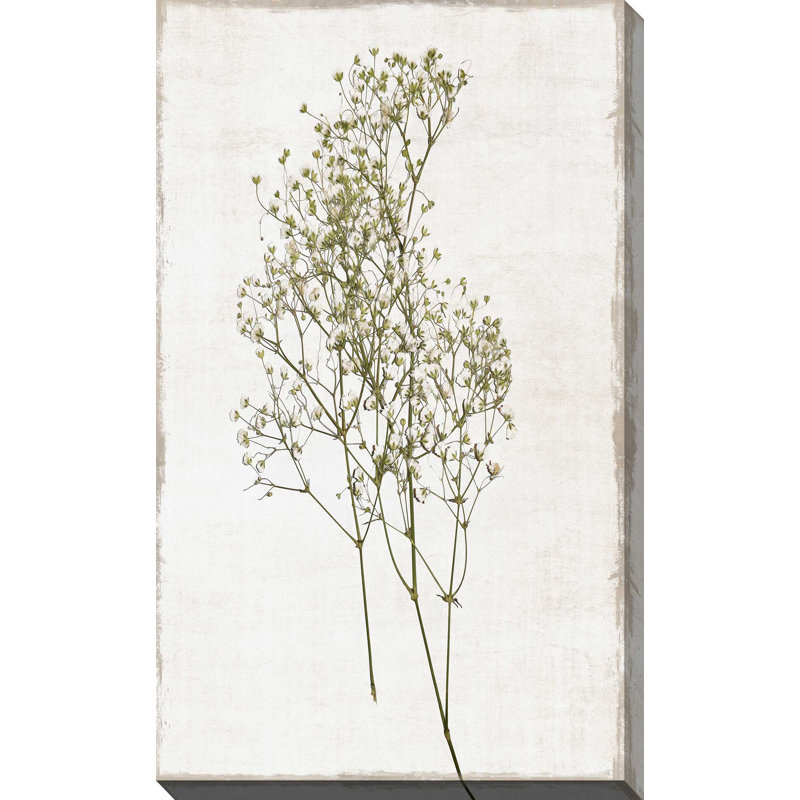 Farmhouse Pressed Flower I - Peinture, L 18 po x H 30 po, Toile tendue