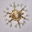 Tulipani 6 LT Winter Brass/Clear Chandelier Allegri