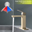 Robinet de lavabo de salle de bain - Assemblage de drain et de drain en acier inoxydable à un trou et à fixation sur comptoir-124464766