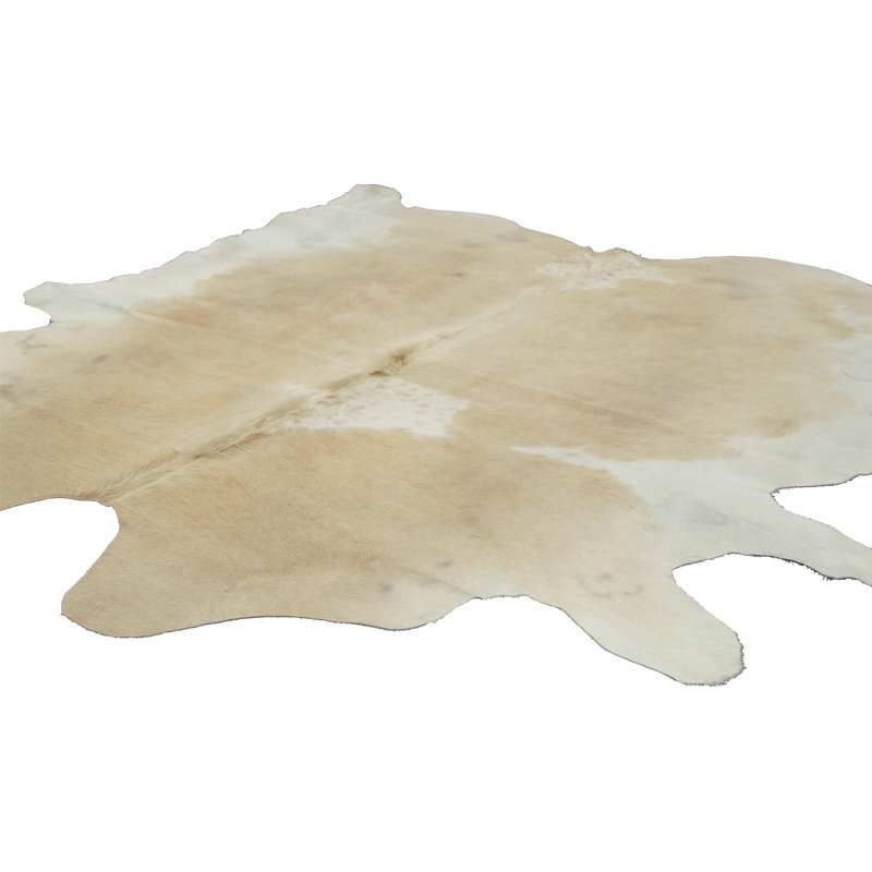 Marquieta Indoor Rug, 5' x 7'
