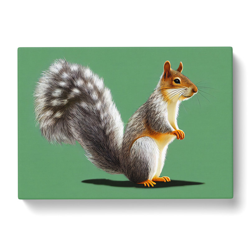 Beauteous Squirrel - Wrapped Canvas Print, 35cm H x 50cm W x 3cm D