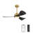 Boun 42'' Ceiling Fan with LED Lights-1421496078-1421496079