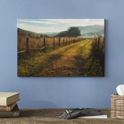 Grassy Lane - Wrapped Canvas Photograph Print