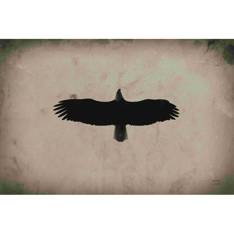 «Eagle Pass» par Nathan Larson - impression, H 32 po x l 48 po, Papier avec cadre blanc simple photo avec passe-pa