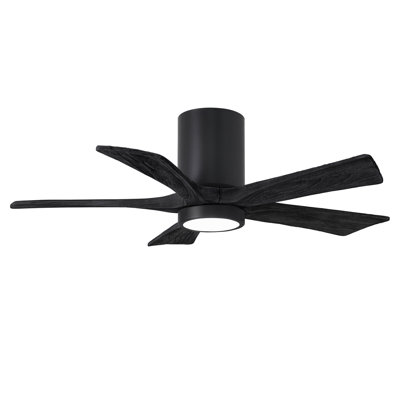 Irene Ceiling Fan with LED Light Kit