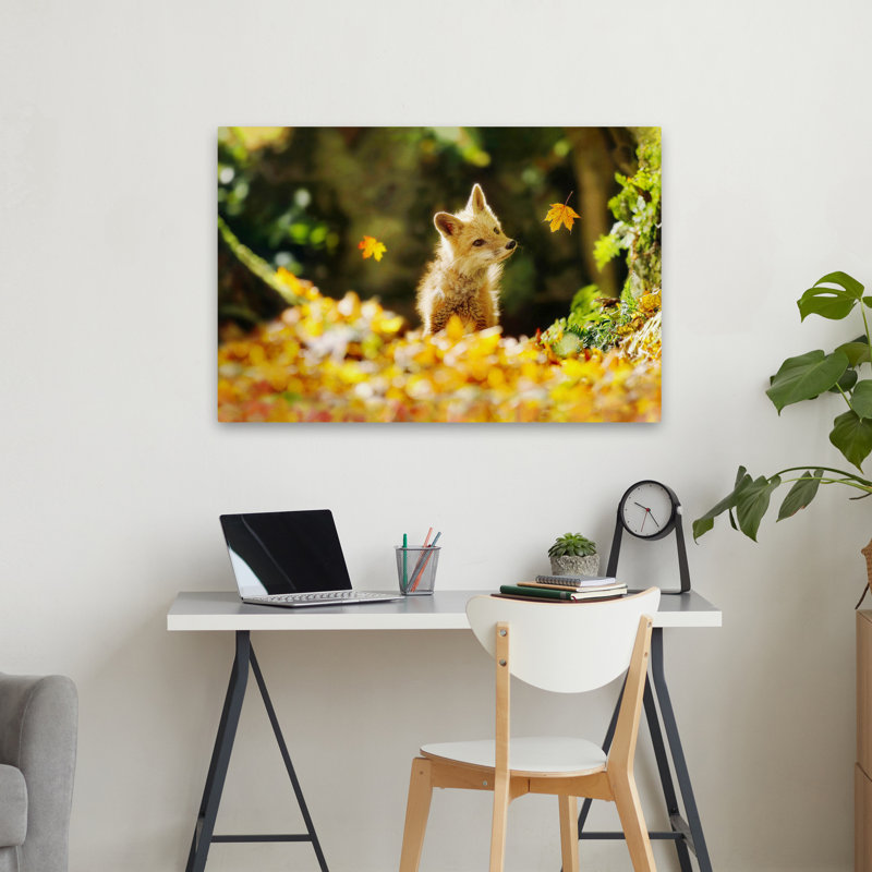 Falling Leaves Fox - photographie animaux, nature, faune, automne, H 24 po x l 36 po