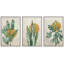 «Minimal Botanical Mid-Century Minimal Tropical Plants Nature Wilderness on Canvas», reproduction de 3 pièces-91176449-91022032