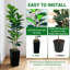 Plant-1111684099-1111684096