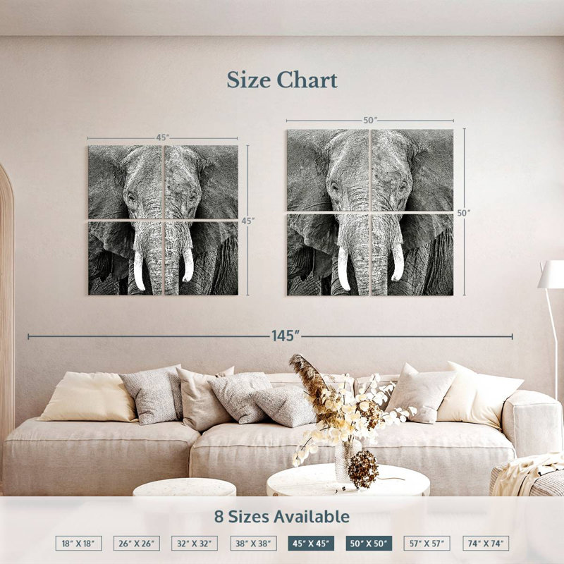 Brampt Elephant Wrinkles, 50" H x 50" W