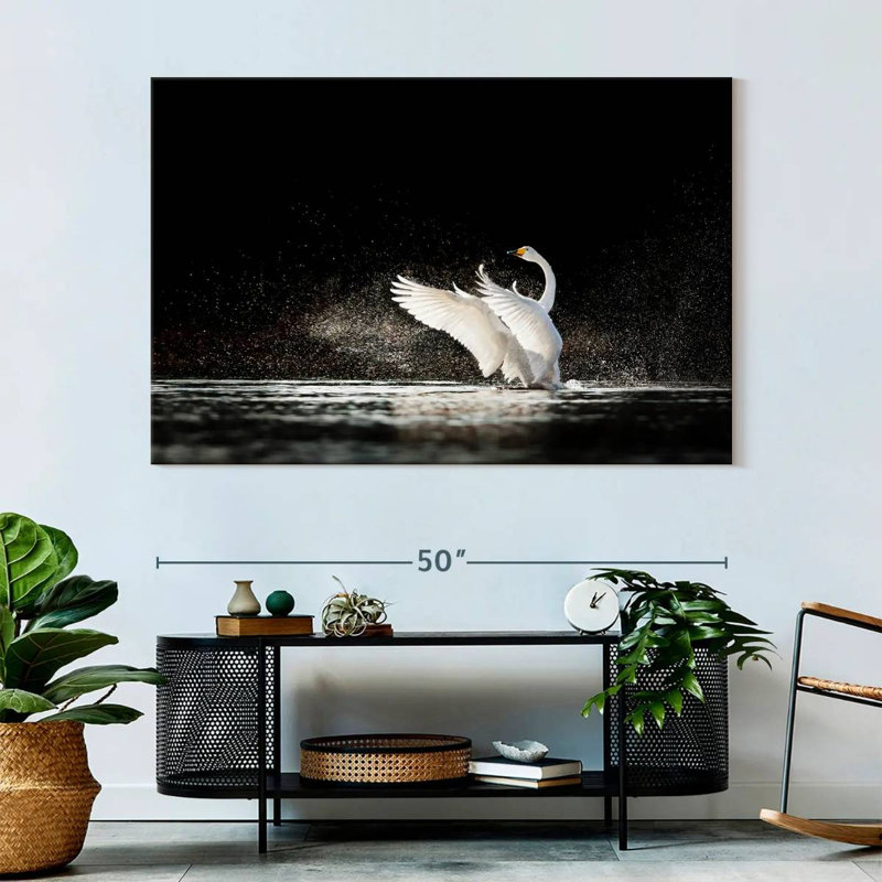 Swan Splashing Water, 34" H x 51" W