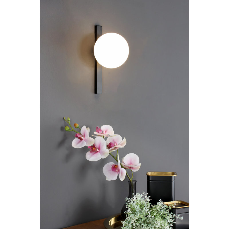 Limaville Plug-in Armed Sconce, Black