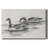 Geese Study II-Gallery Wrapped Canvas-581157475