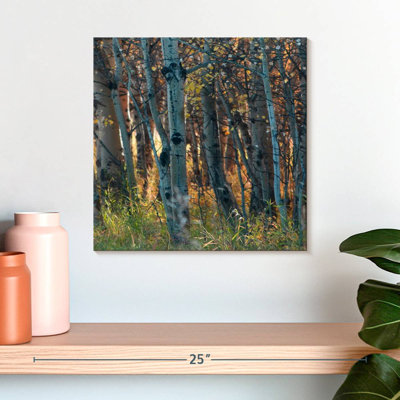 Harnek Fall Birch I