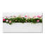 Lonya 50cm W x 100cm L Glass Peel and Stick Panel