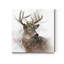 «Winter Wonderland Deer», reproduction sur toile tendue-283726393