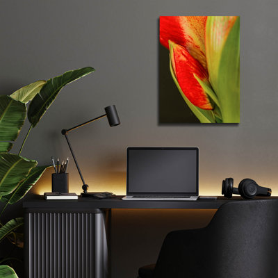 " Amaryllis " by Pamela Plummer