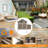Chicken Coop With Nesting Box-974672467