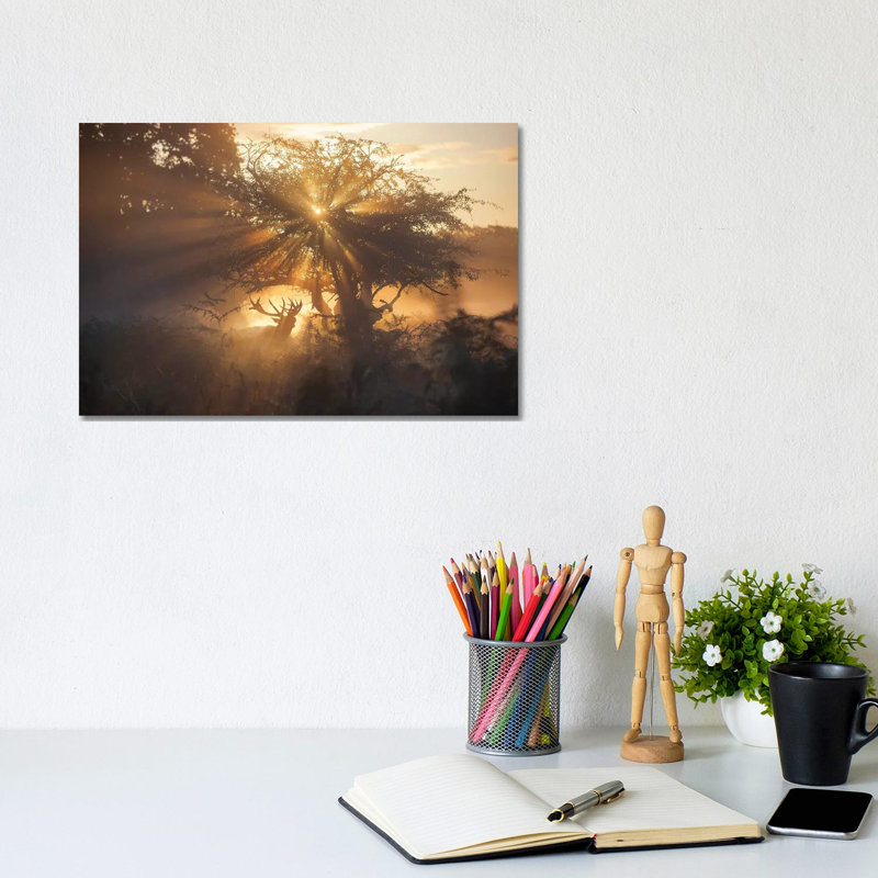 Golden Rut by Max Ellis - Wrapped Canvas Print, 20.32cm H x 30.48cm W x 1.905cm D
