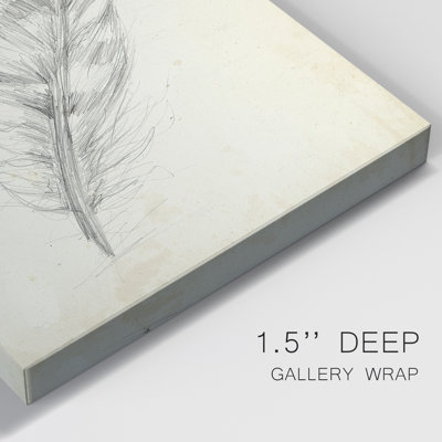 Feather Sketch II - Wrapped Canvas Print