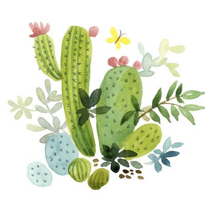 Happy Cactus III