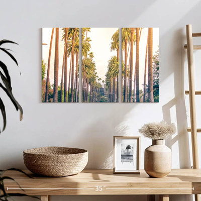 Palm Trees In Los Angeles