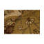 Hand Woven Wool Oriental Area Rug
