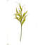 Faux forsythia tiges-16678631