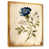 Toile avec cadre flottant or