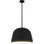 Aaila 4-Light Matte Black Pendant Light