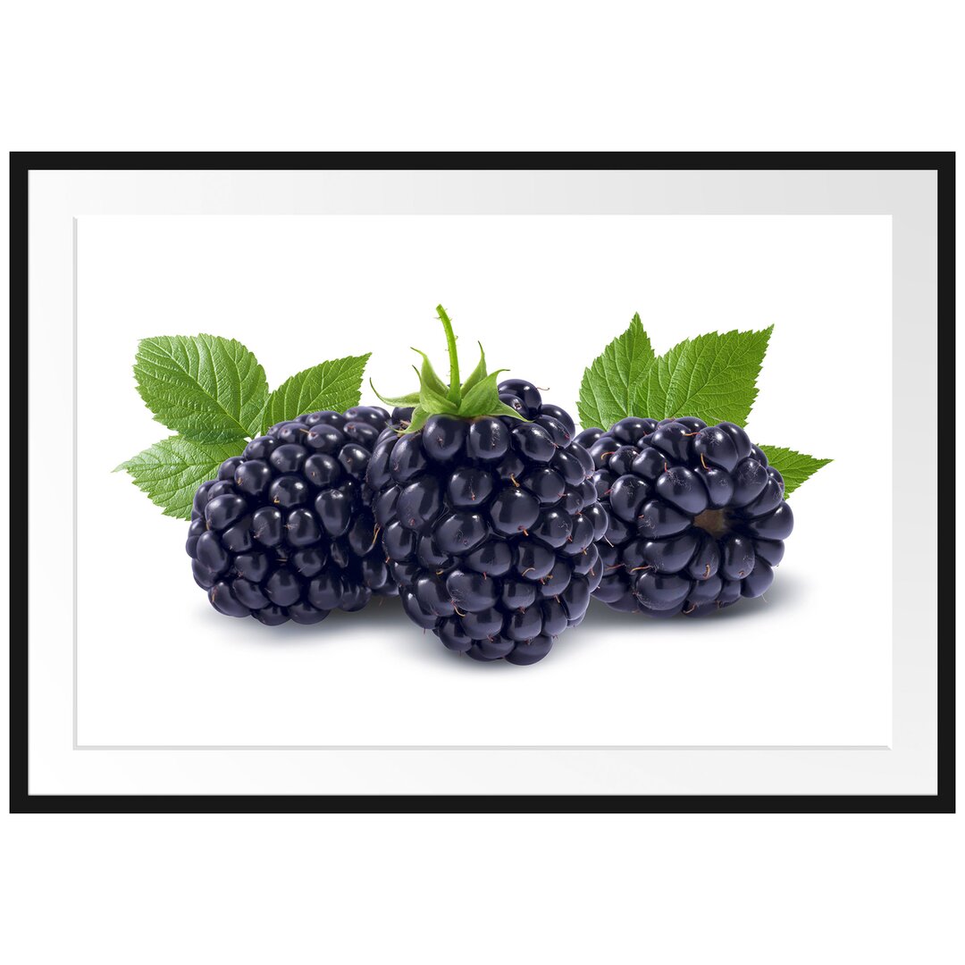 Gerahmtes Poster Leckere Brombeeren