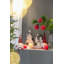 Ornement boule en PVC-1090172623