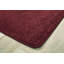 Tapis rouge canneberge Mt St Helens-94483752