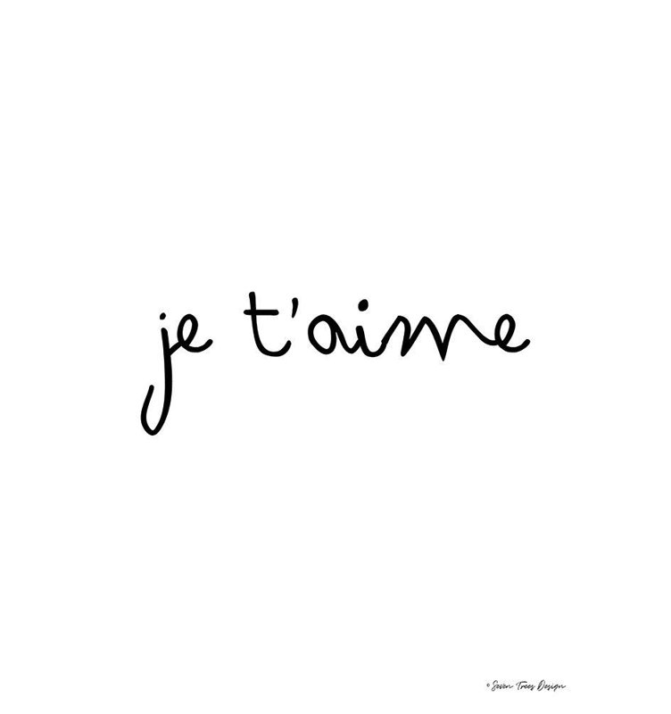 Art sur toile tendue par Lark Manor Seven Trees Design Gallery: Je Taime, H 24 po x l 19 po