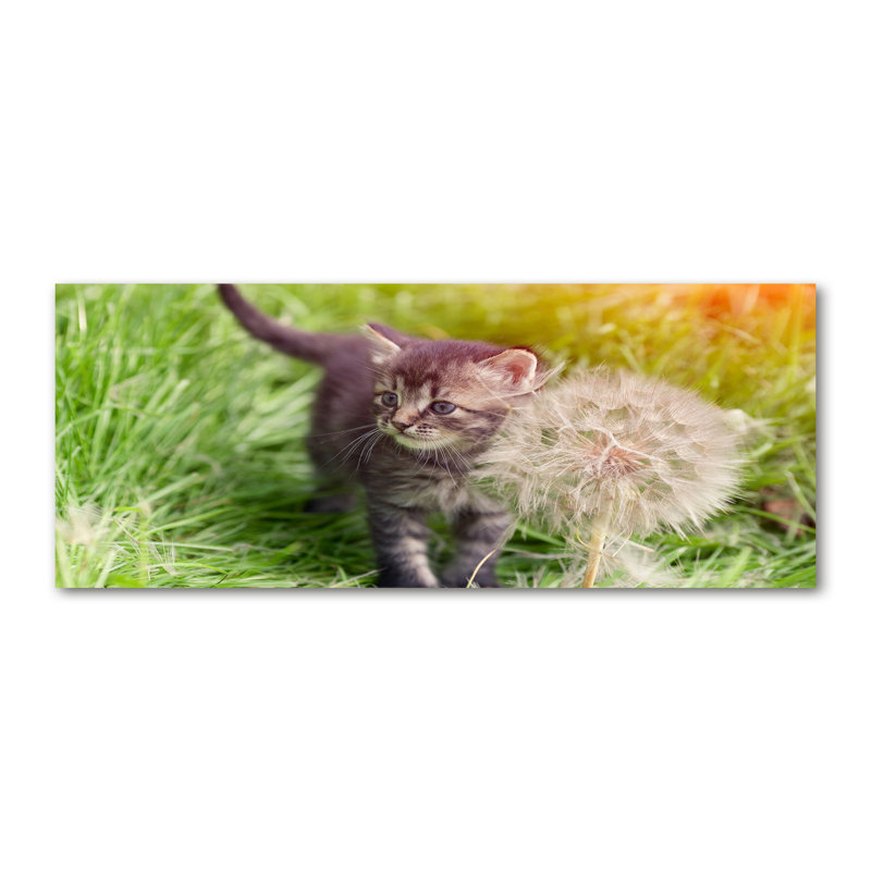 Kitten With A Blowpipe - Wrapped Canvas Print
