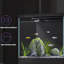 Système d'aquarium à ruissellement écologique-98878212