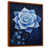 Brown Floater Framed Canvas