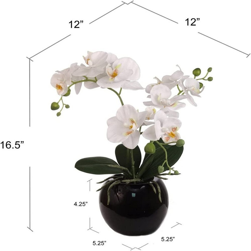 Arrangement floral orchidée en pot