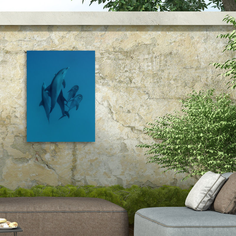 «Dolphins bolognais 6», reproduction sur toile, H 32 po x l 24 po