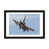 Black Framed Fine Art Paper is unavailable