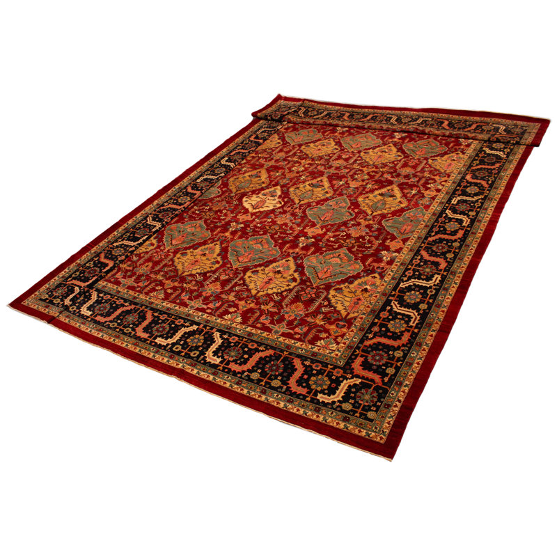 Tapis rouge Aryana noué à la main unique 16 pi 11 po x 23 pi 4 po