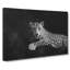 Leopard - Wrapped Canvas Print-56632964