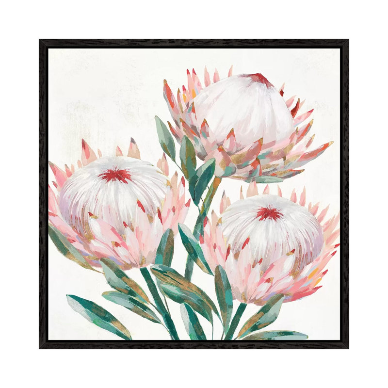 King Protea II by Isabelle Z - Painting on Canvas, Black Framed, 66.04 cm H x 66.04 cm W